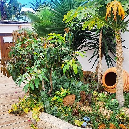 Beautiful Chalet With Wifi And Free Parking Arona (Tenerife) Exterior foto