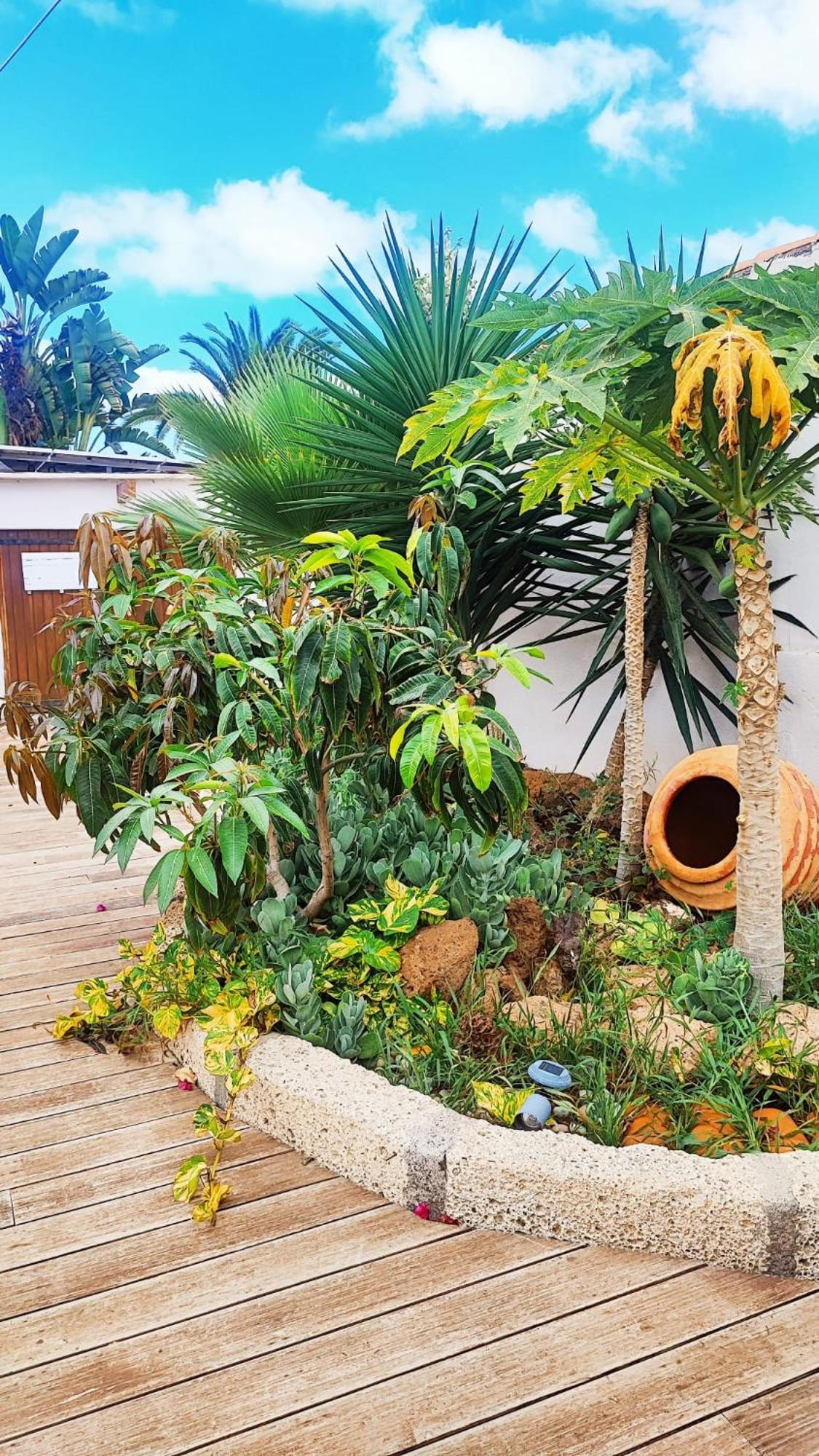 Beautiful Chalet With Wifi And Free Parking Arona (Tenerife) Exterior foto