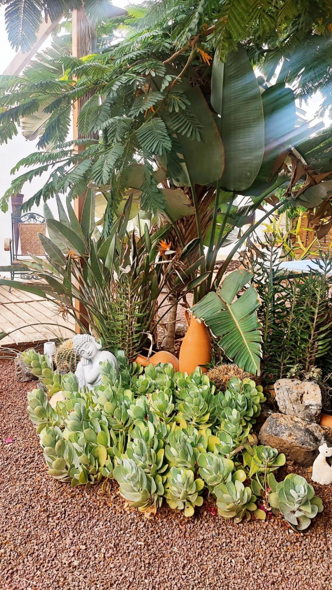Beautiful Chalet With Wifi And Free Parking Arona (Tenerife) Exterior foto